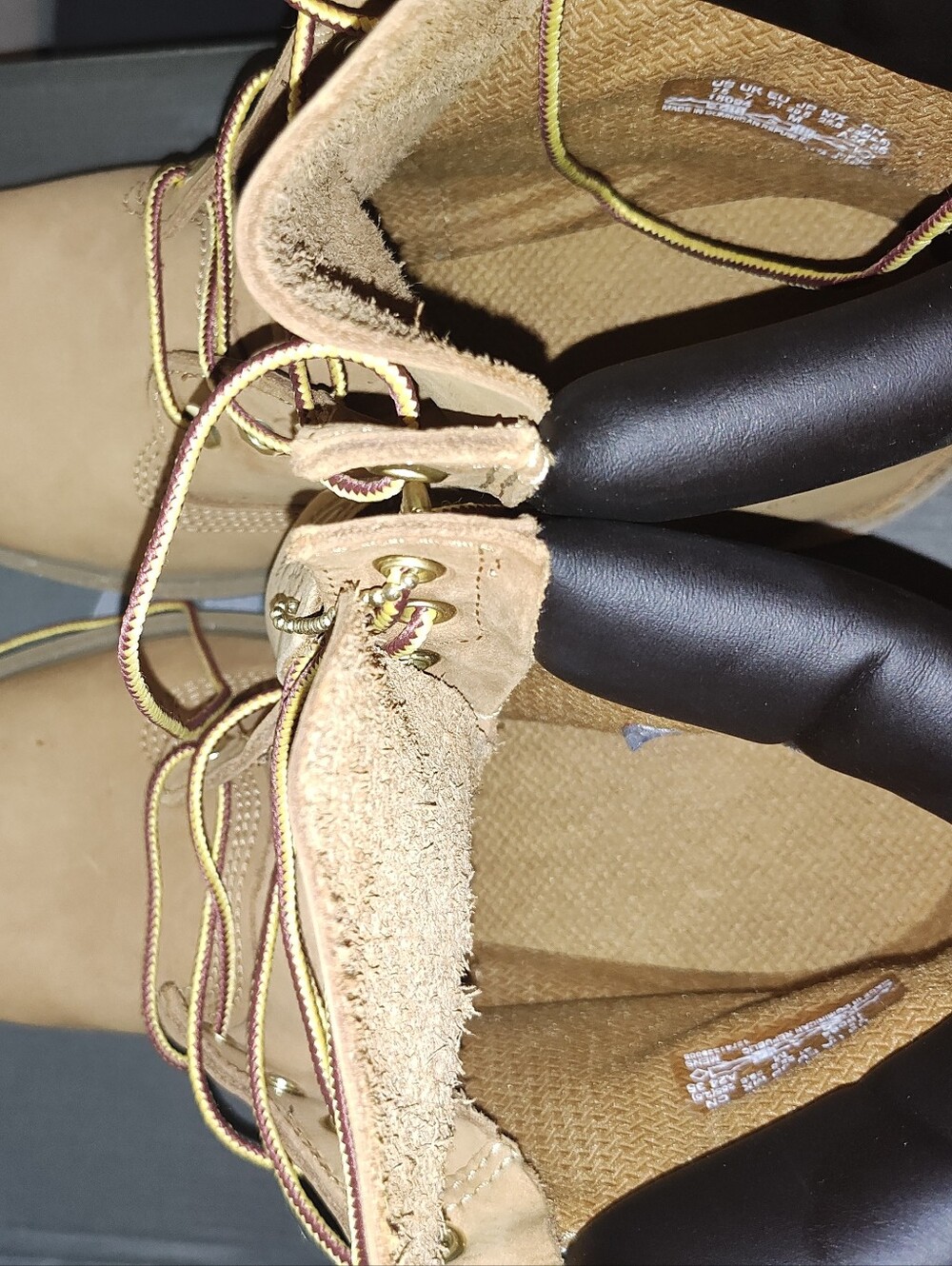Timberland Wheat Nubuck Boot with Black Collar - Picture 4 of 5